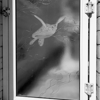 Cast and etched glass gate panel designed and fabricated for an existing metal gate frame featuring a sea turtle and kelp backdrop.